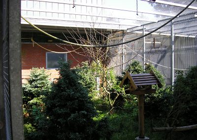 Neu in 2012: Voliere für Waldvögel und Ziertauben