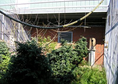 Neu in 2012: Voliere für Waldvögel und Ziertauben