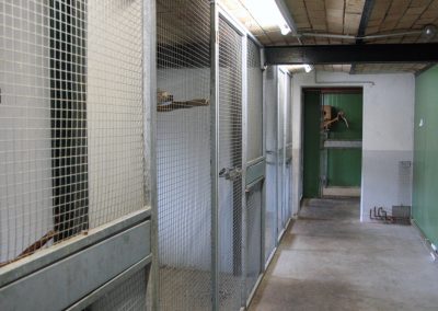 Futtergang innen Westseite